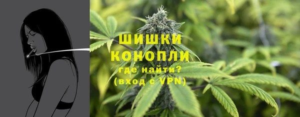 ГАЛЛЮЦИНОГЕННЫЕ ГРИБЫ Аркадак