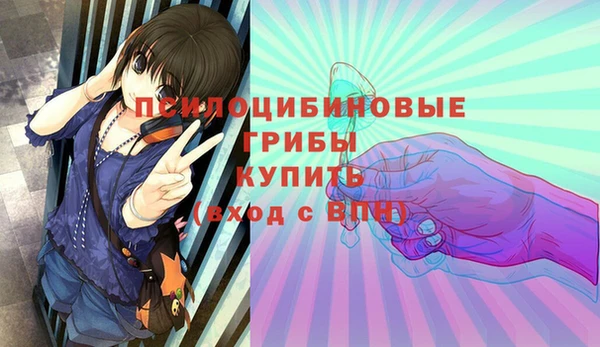 метамфетамин Алексеевка