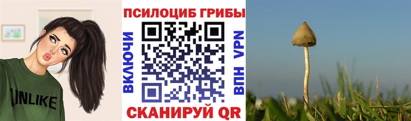 Псилоцибиновые грибы мицелий  kraken сайт  Выкса 