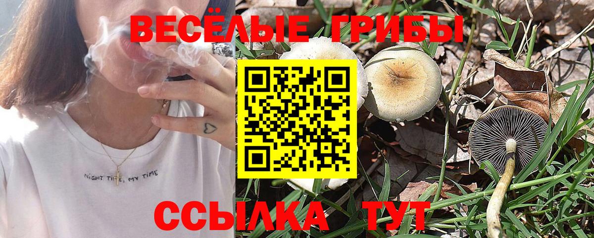 Псилоцибиновые грибы прущие грибы Выкса